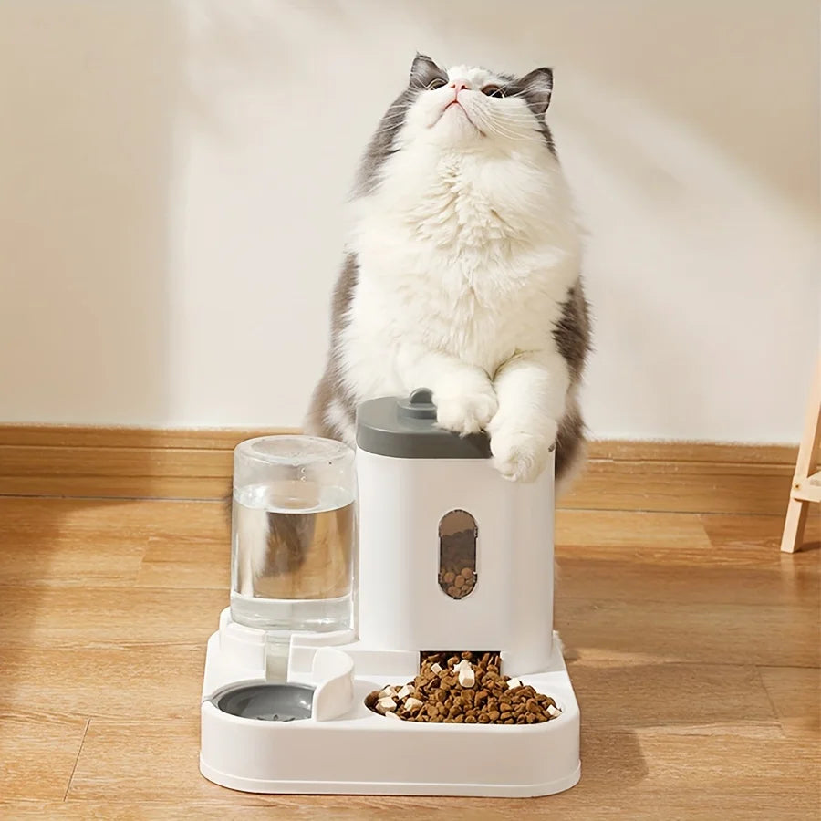 Pet Feeder and Water Dispenser