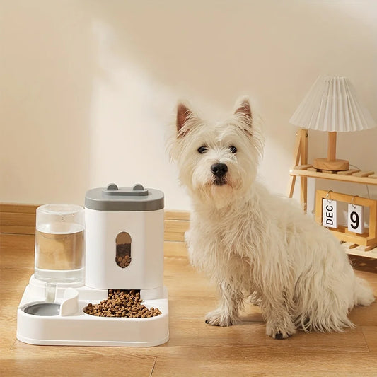 Pet Feeder and Water Dispenser