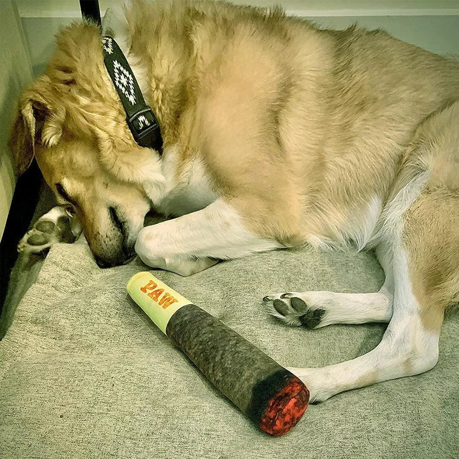 Funny Interactive Dog Toy - Cigar Design Plush