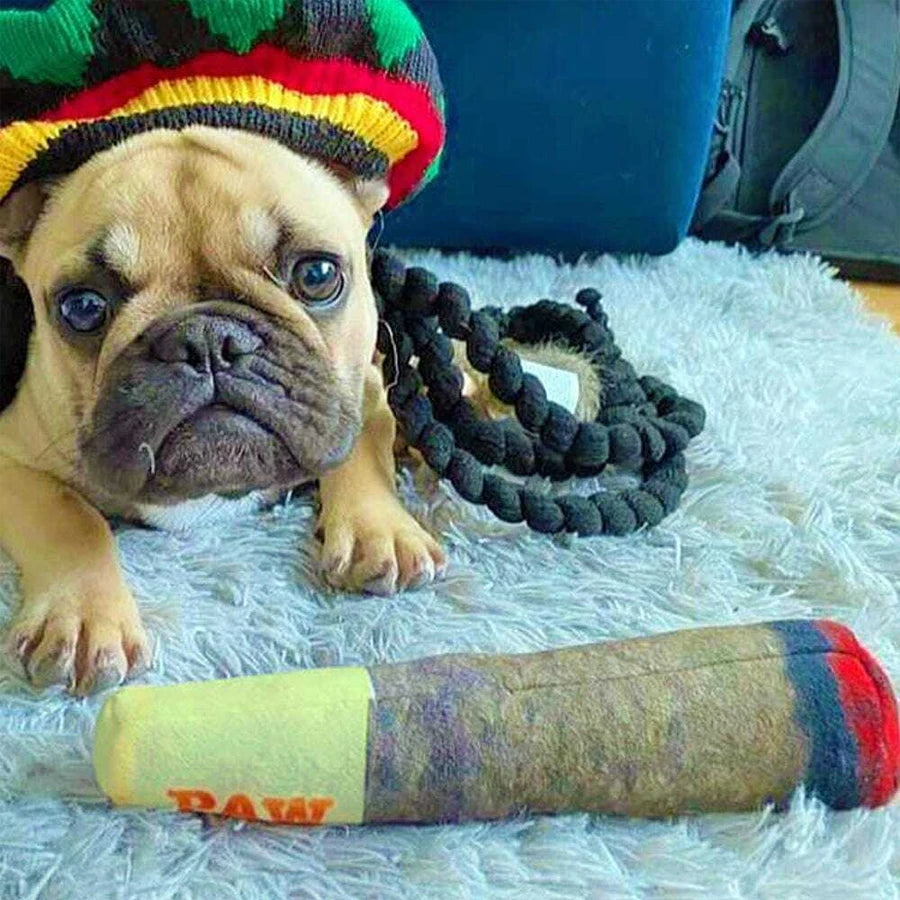 Funny Interactive Dog Toy - Cigar Design Plush